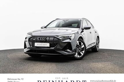 Audi e-tron Gebrauchtwagen