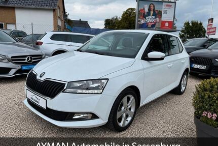 Skoda Fabia Gebrauchtwagen