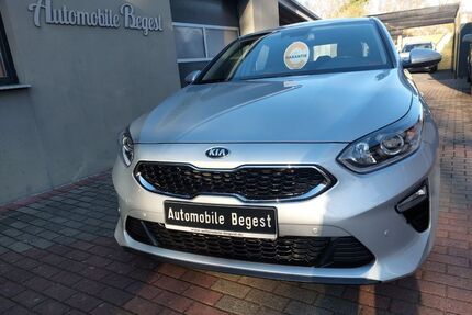 Kia ceed / Ceed Gebrauchtwagen