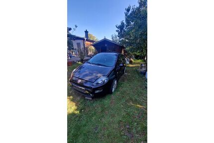 Fiat Punto Gebrauchtwagen