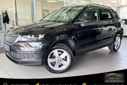 Skoda Karoq Gebrauchtwagen