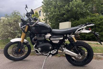 Triumph Scrambler Gebrauchtwagen