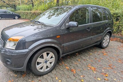 Ford Fusion Gebrauchtwagen