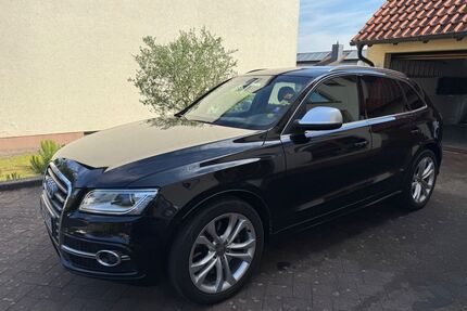 Audi SQ5 Gebrauchtwagen
