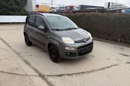 Fiat Panda Gebrauchtwagen