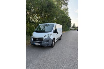 Fiat Ducato Gebrauchtwagen