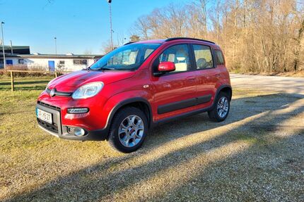 Fiat Panda Gebrauchtwagen