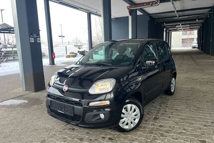 Fiat Panda Gebrauchtwagen
