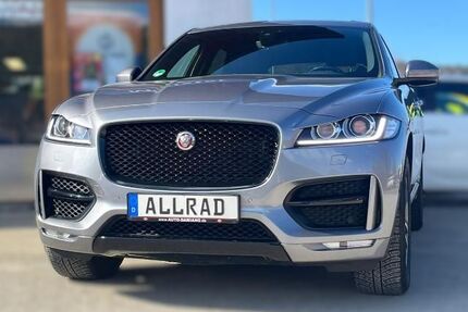 Jaguar F-Pace Gebrauchtwagen