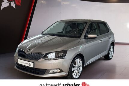 Skoda Fabia Gebrauchtwagen
