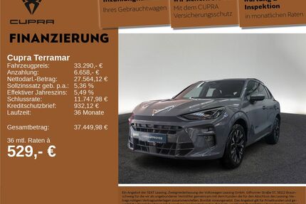 Cupra Terramar Gebrauchtwagen