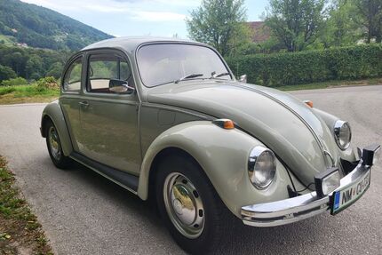 VW Beetle Gebrauchtwagen