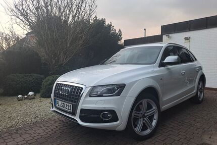 Audi Q5 Gebrauchtwagen