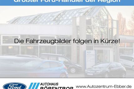 Ford Transit Custom Gebrauchtwagen