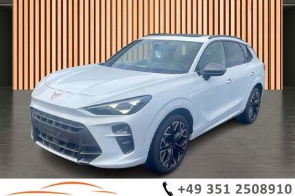 Cupra Terramar Gebrauchtwagen
