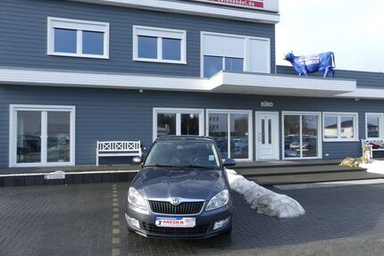 Skoda Fabia Gebrauchtwagen
