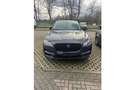 Jaguar F-Pace Gebrauchtwagen
