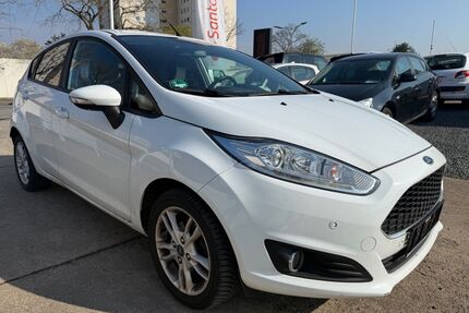 Ford Fiesta Gebrauchtwagen