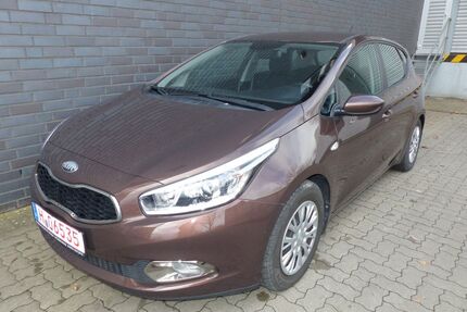 Kia ceed / Ceed Gebrauchtwagen