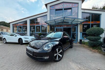 VW Beetle Gebrauchtwagen