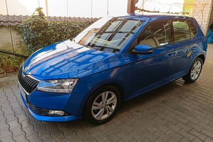 Skoda Fabia Gebrauchtwagen