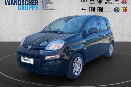 Fiat Panda Gebrauchtwagen