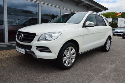 Mercedes-Benz ML 250 Gebrauchtwagen