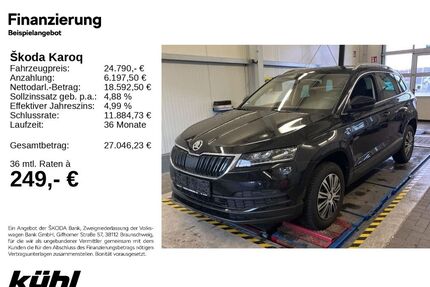 Skoda Karoq Gebrauchtwagen