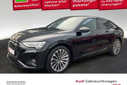 Audi Q8 e-tron Gebrauchtwagen