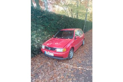 VW Polo Gebrauchtwagen