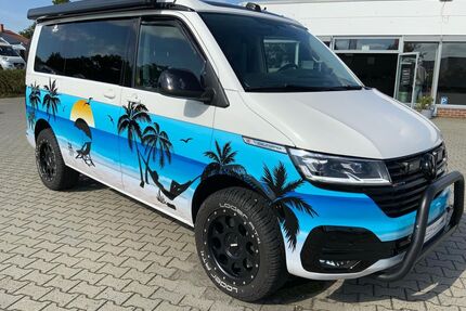 VW T6 California Gebrauchtwagen
