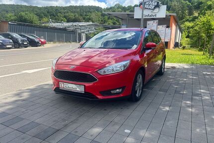 Ford Focus Gebrauchtwagen