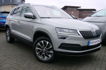Skoda Karoq Gebrauchtwagen
