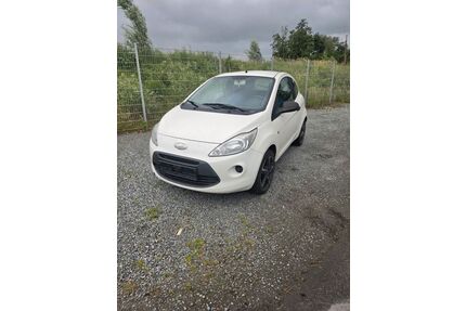 Ford Ka/Ka+ Gebrauchtwagen