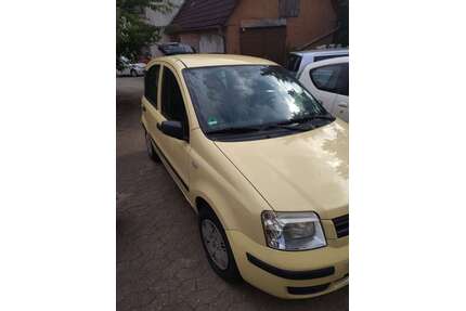 Fiat Panda Gebrauchtwagen