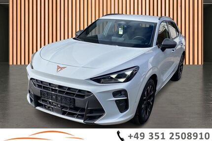 Cupra Terramar Gebrauchtwagen