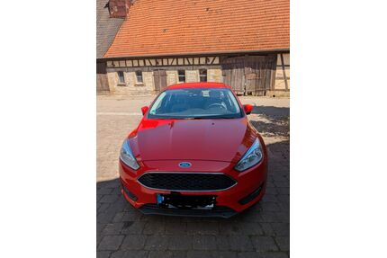 Ford Focus Gebrauchtwagen