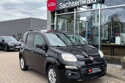 Fiat Panda Gebrauchtwagen