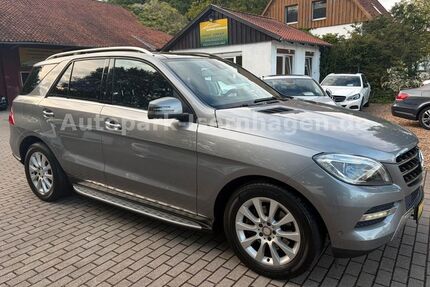 Mercedes-Benz ML 250 Gebrauchtwagen
