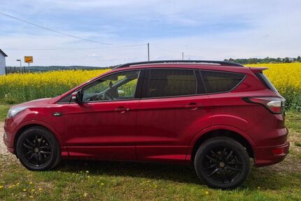 Ford Kuga Gebrauchtwagen