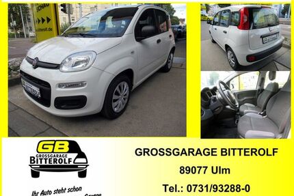 Fiat Panda Gebrauchtwagen
