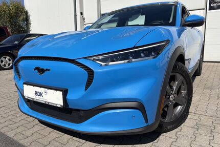 Ford Mustang Mach-E Gebrauchtwagen