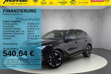 Cupra Terramar Gebrauchtwagen