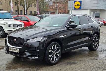 Jaguar F-Pace Gebrauchtwagen