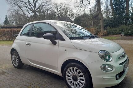 Fiat 500 Gebrauchtwagen