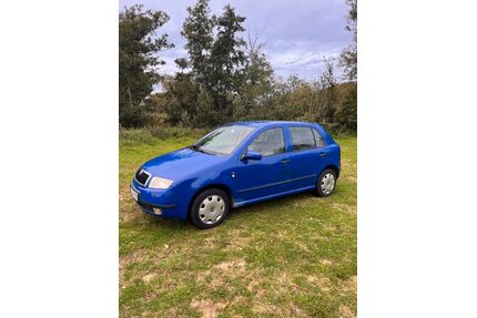 Skoda Fabia Gebrauchtwagen