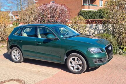 Audi Q5 Gebrauchtwagen