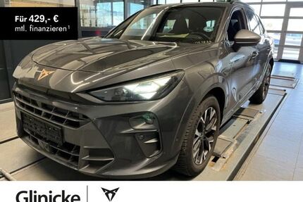 Cupra Terramar Gebrauchtwagen