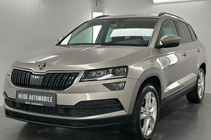 Skoda Karoq Gebrauchtwagen