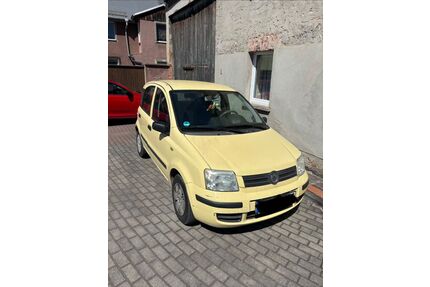 Fiat Panda Gebrauchtwagen
